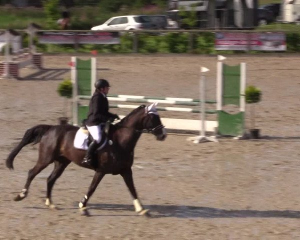 Reitturnier Monschau-Mützenich 2016