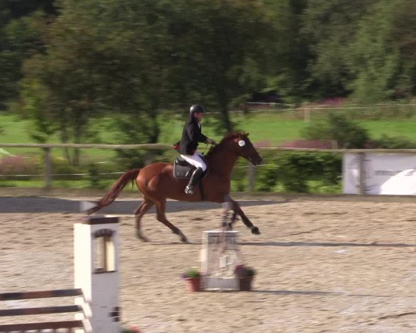 Reitturnier Monschau-Mützenich 2016