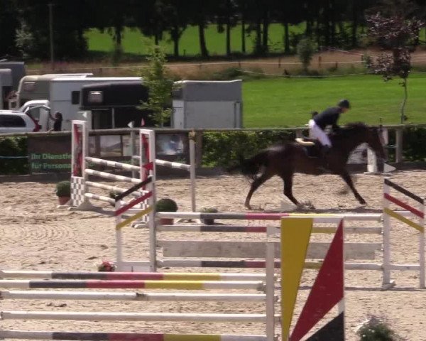 Reitturnier Monschau-Mützenich 2016