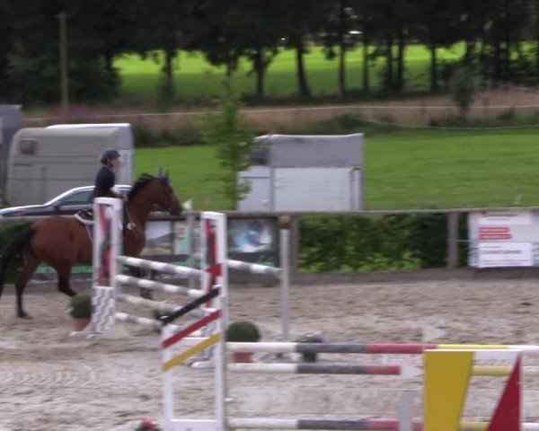 Reitturnier Monschau-Mützenich 2016