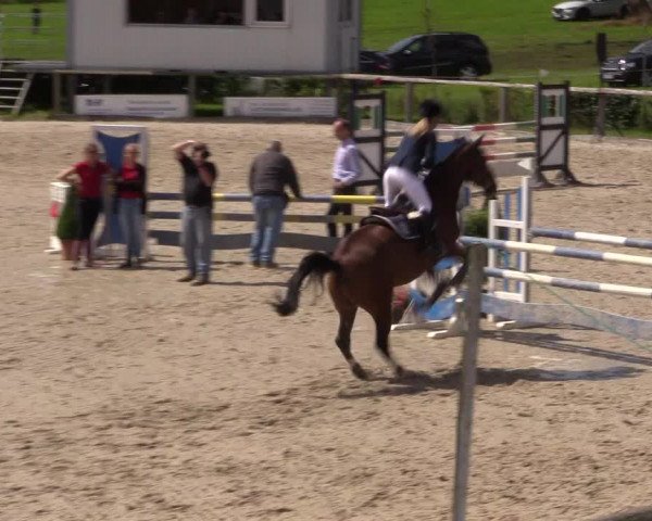 Reitturnier Monschau-Mützenich 2016