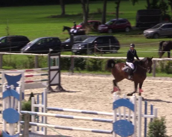 Reitturnier Monschau-Mützenich 2016