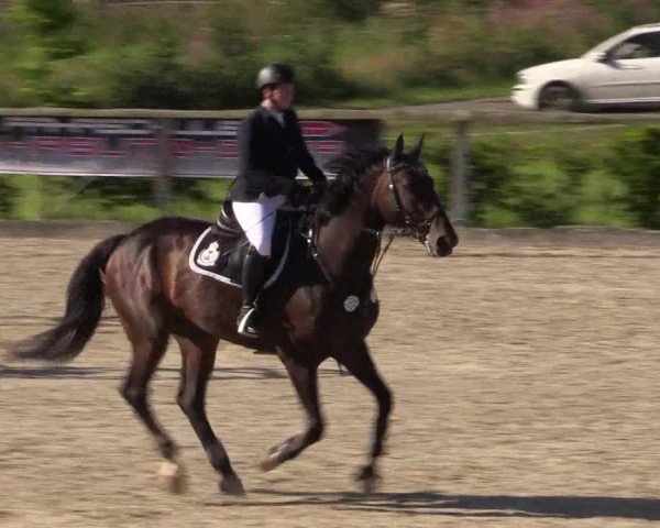 Reitturnier Monschau-Mützenich 2016