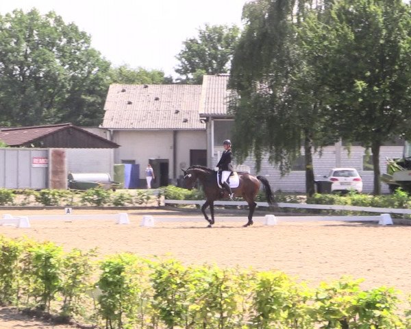 Reitturnier Olfen-Vinnum 2016