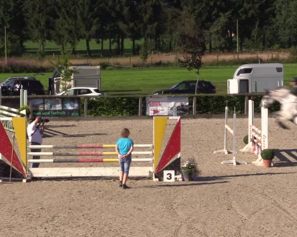 Reitturnier Monschau-Mützenich 2016