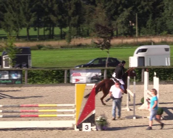 Reitturnier Monschau-Mützenich 2016