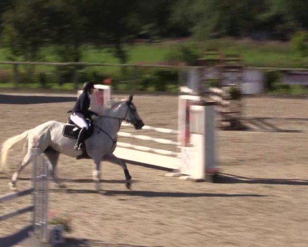 Reitturnier Monschau-Mützenich 2016