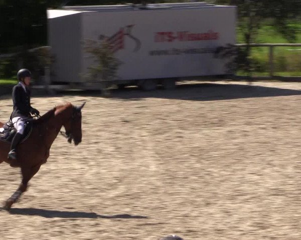 Reitturnier Monschau-Mützenich 2016