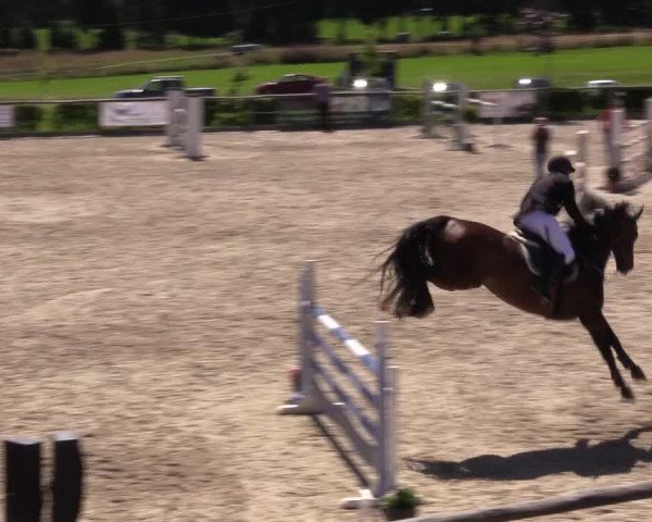 Reitturnier Monschau-Mützenich 2016