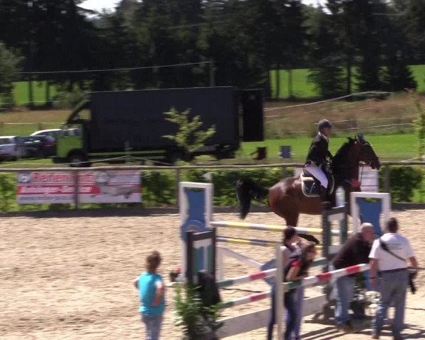 Reitturnier Monschau-Mützenich 2016