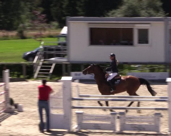 Reitturnier Monschau-Mützenich 2016