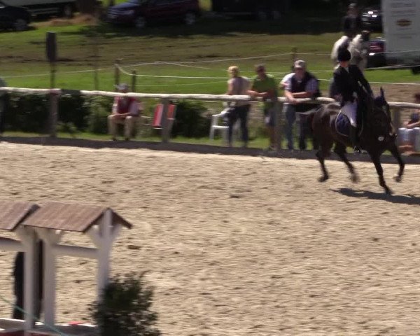 Reitturnier Monschau-Mützenich 2016
