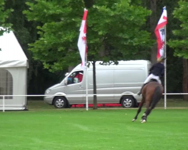 Reitturnier Zobbenitz 2016