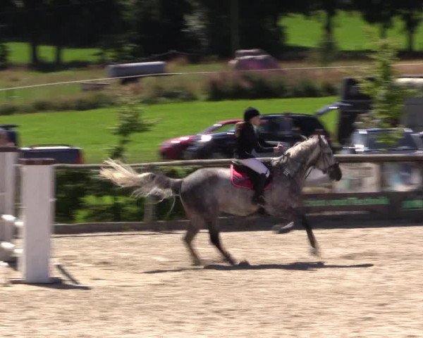 Reitturnier Monschau-Mützenich 2016