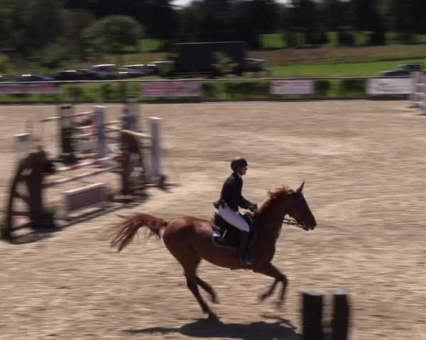 Reitturnier Monschau-Mützenich 2016