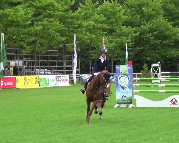 Reitturnier Zobbenitz 2016