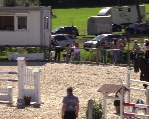 Reitturnier Monschau-Mützenich 2016