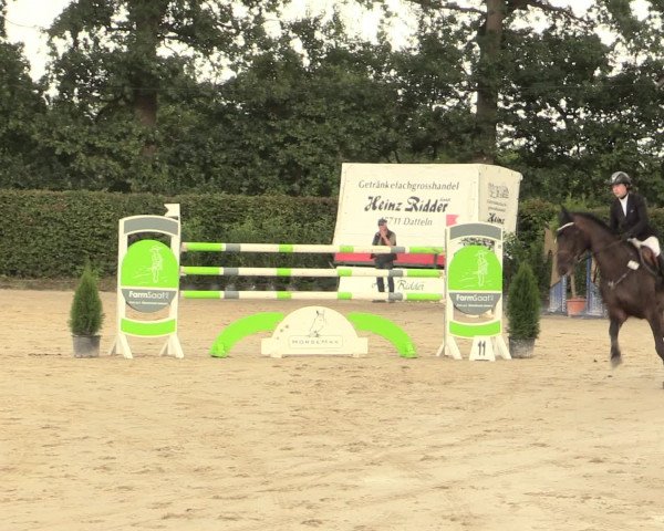 Reitturnier Olfen-Vinnum 2016