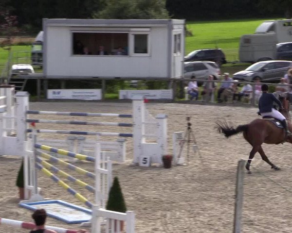 Reitturnier Monschau-Mützenich 2016