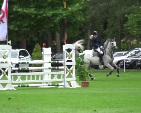 Reitturnier Zobbenitz 2016