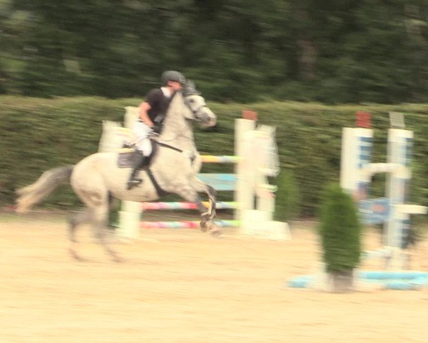 Reitturnier Olfen-Vinnum 2016