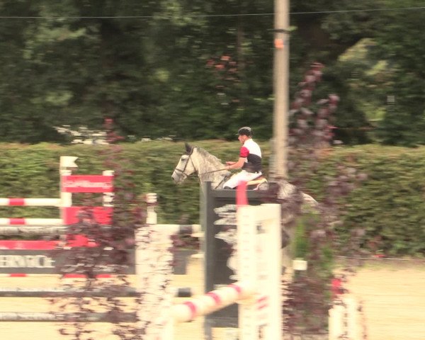 Reitturnier Olfen-Vinnum 2016