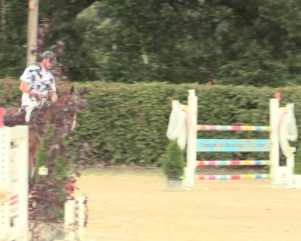 Reitturnier Olfen-Vinnum 2016