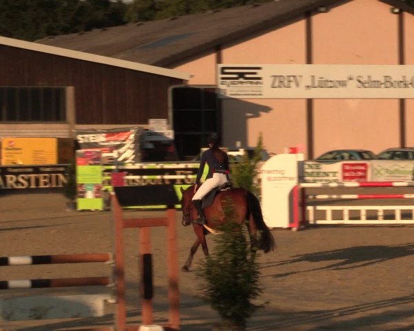 Reitturnier Olfen-Vinnum 2016