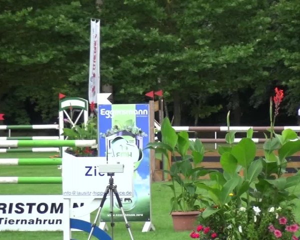 Reitturnier Zobbenitz 2016