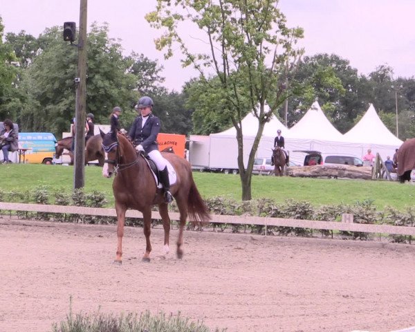 Reitturnier Olfen-Vinnum 2016