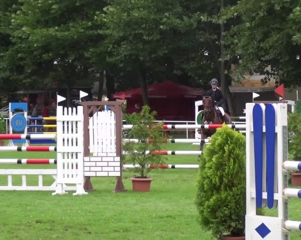 Reitturnier Zobbenitz 2016