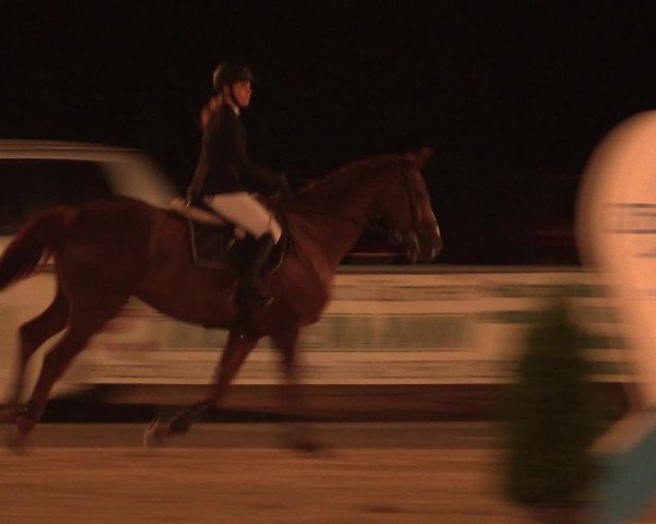 Reitturnier Olfen-Vinnum 2016