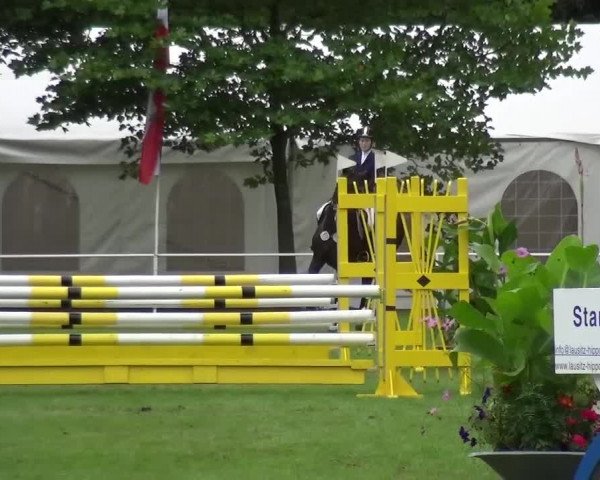 Reitturnier Zobbenitz 2016