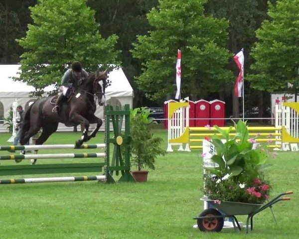 Reitturnier Zobbenitz 2016