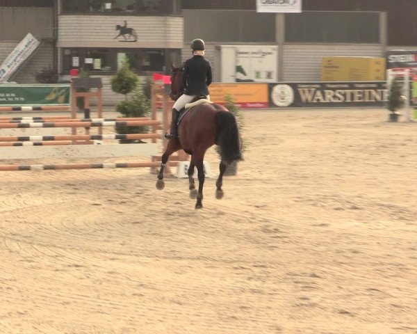 Reitturnier Olfen-Vinnum 2016
