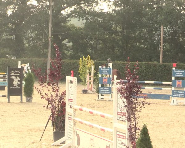 Reitturnier Olfen-Vinnum 2016