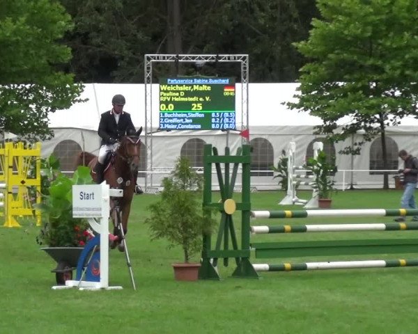 Reitturnier Zobbenitz 2016