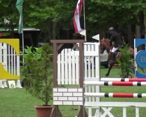 Reitturnier Zobbenitz 2016