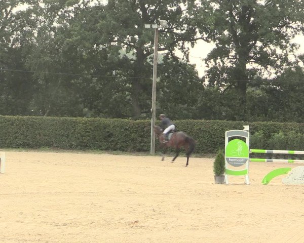 Reitturnier Olfen-Vinnum 2016