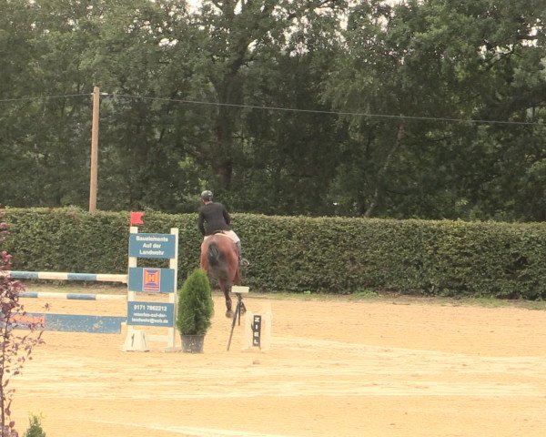Reitturnier Olfen-Vinnum 2016