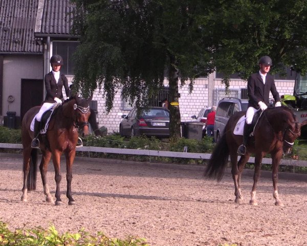 Reitturnier Olfen-Vinnum 2016
