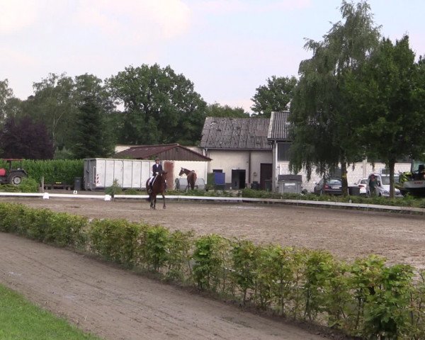 Reitturnier Olfen-Vinnum 2016