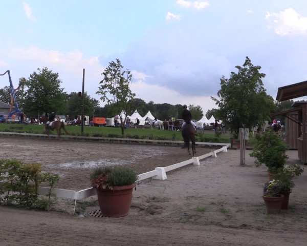Reitturnier Olfen-Vinnum 2016