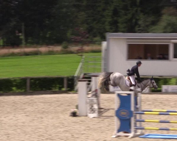 Reitturnier Monschau-Mützenich 2016
