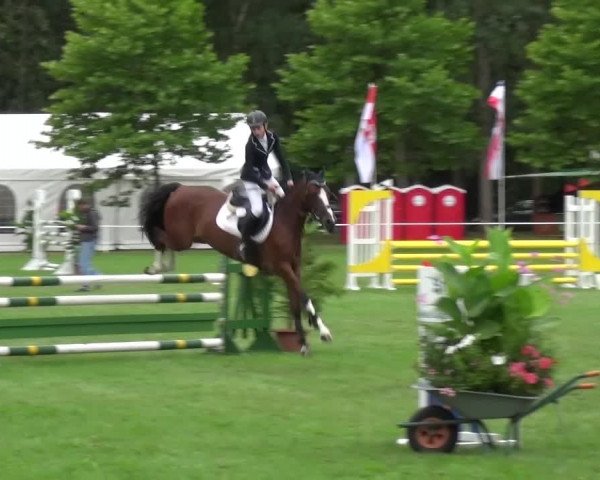 Reitturnier Zobbenitz 2016