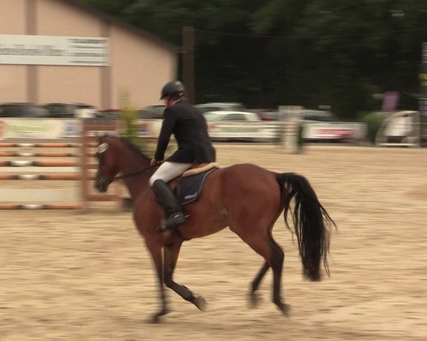 Reitturnier Olfen-Vinnum 2016