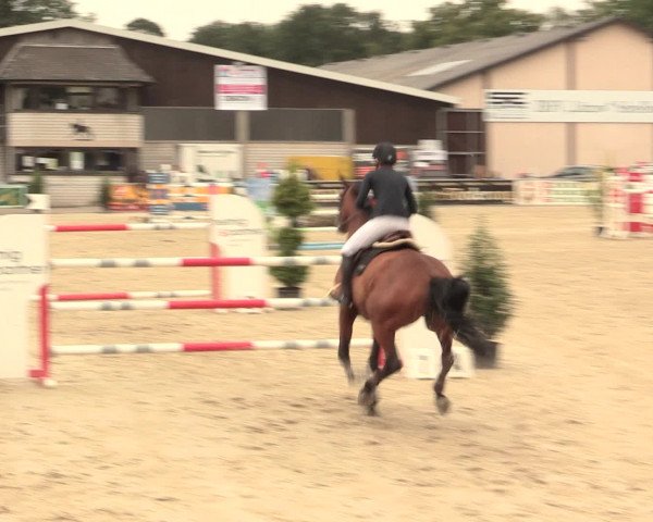 Reitturnier Olfen-Vinnum 2016