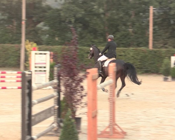 Reitturnier Olfen-Vinnum 2016
