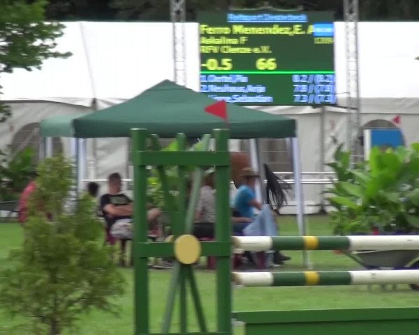 Reitturnier Zobbenitz 2016