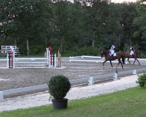 Reitturnier Olfen-Vinnum 2016